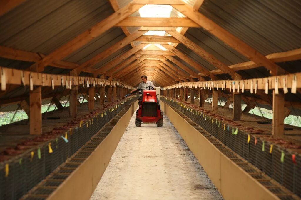 коза ностра ферма. немецкая ферма германия. красивая ферма. Real farm – gold edition. ферма амбар.