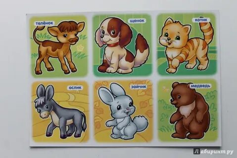 Картинки для малышей 1 года