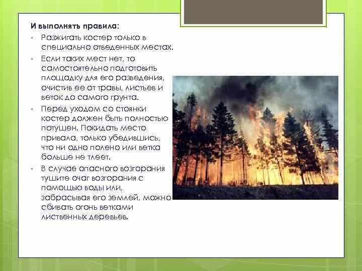 Самый большой текст леса. Изложение Лесной пожар. Пожар в лесу изложение. Изложение после пожара. Изложение пожар в лесу 4 класс.