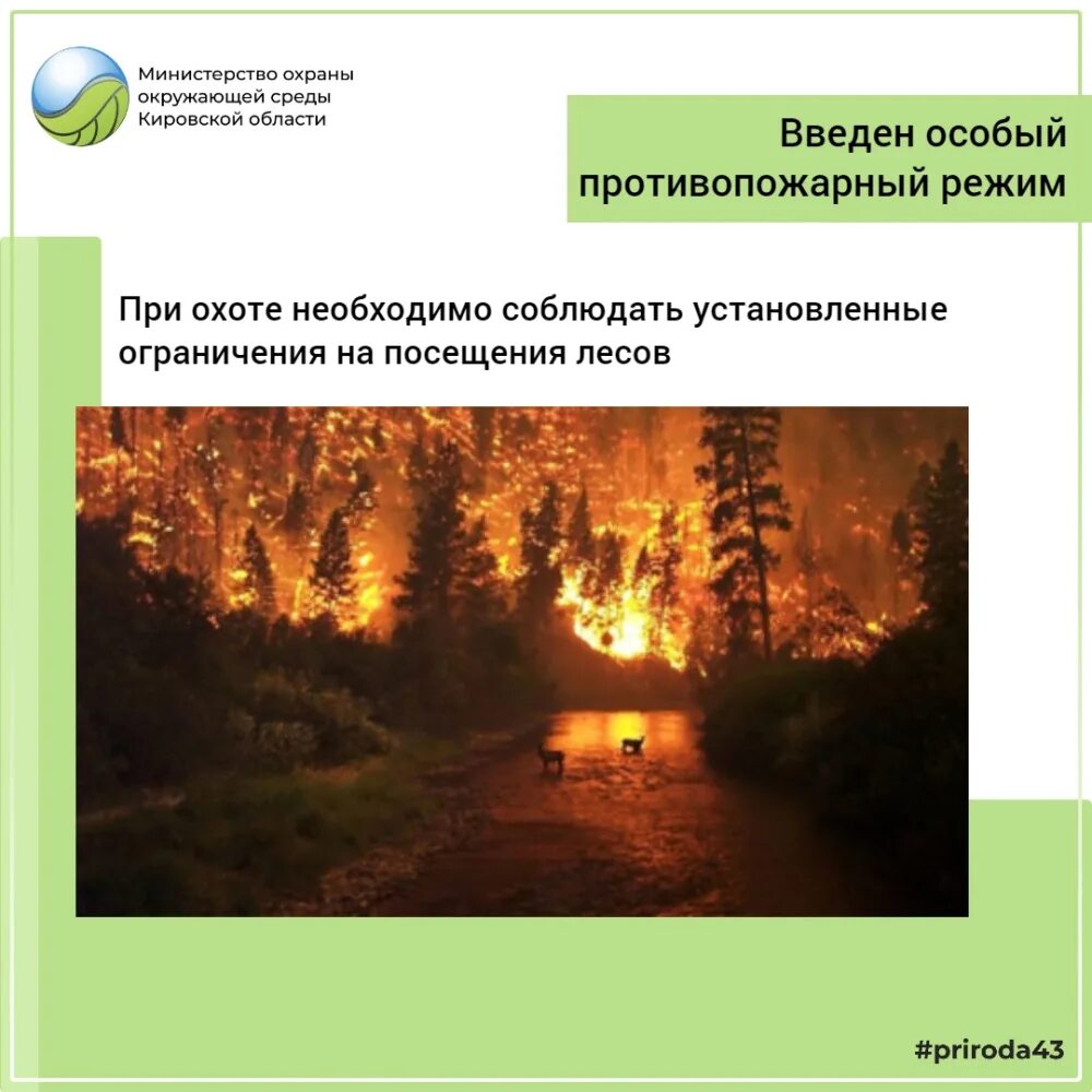 Противопожарный режим воронеж 2024. Особый противопожарный режим картинки. Противопожарный режим в лесах. Противопожарный режим Кировская область. Противопожарный режим Калининградская область.