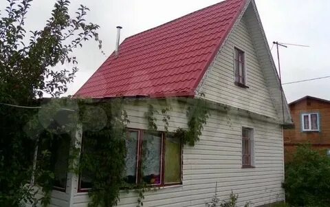 Снт ромашка ленинградская область