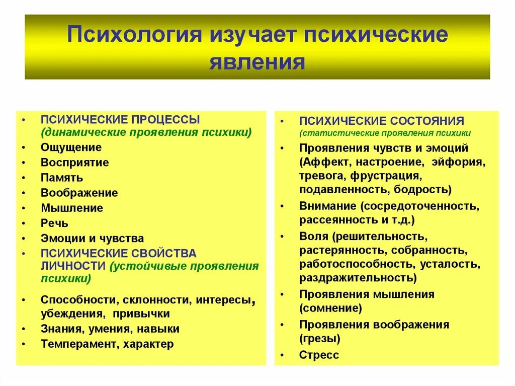 Что изучает психология. Психология изучает психические процессы. Что изу, ает психология. Психические процессы личности в психологии.