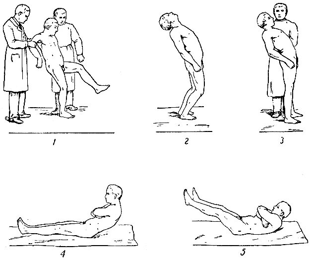 тренировка мозжечка. тренировка мозжечка. занятия для мозжечковой стимуляции. тренировка мозжечка. упражнения для развития мозжечка.
