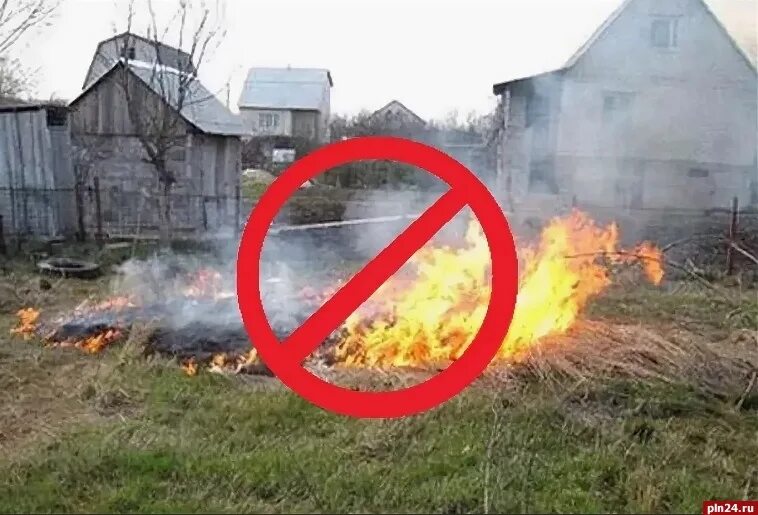 Можно ли жечь ветки на своем участке. Сжечь траву на участке.