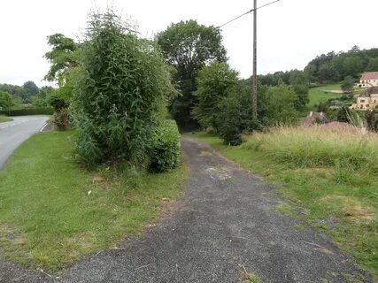 Little path