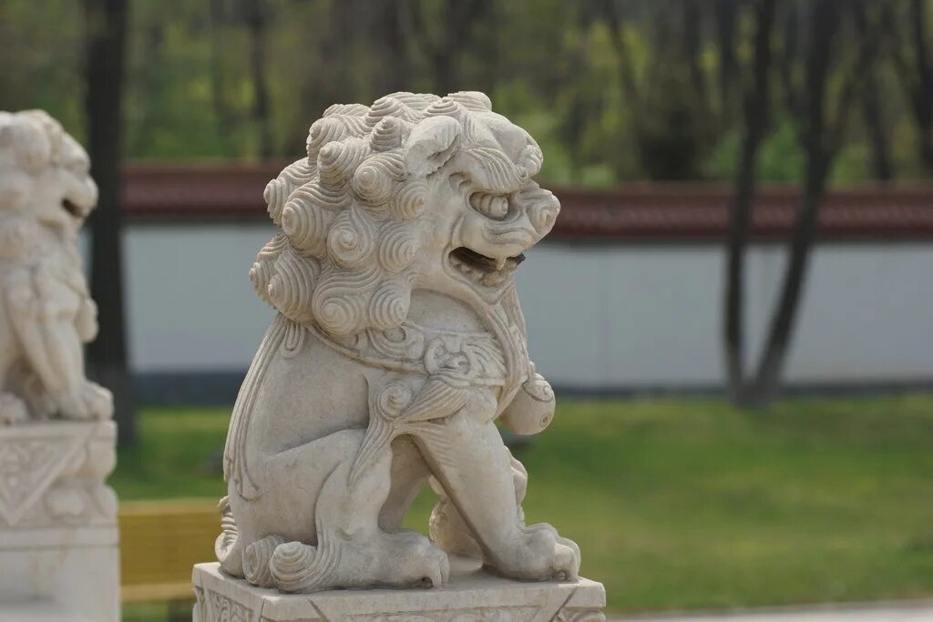 Fu dog china донская ул 30 фото. Собака фу лев будды. Fu dog china донская ул. Собака фу. Шиши китайский лев.