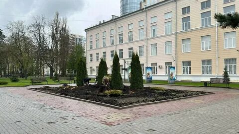 Туи воронеж
