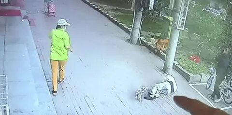 Рекорды нелепых смертей