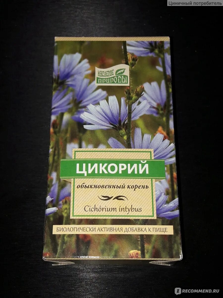 Цикорий наследие природы корень. Цикорий в аптеке. Цикорий корень. Корень цикория аптека.