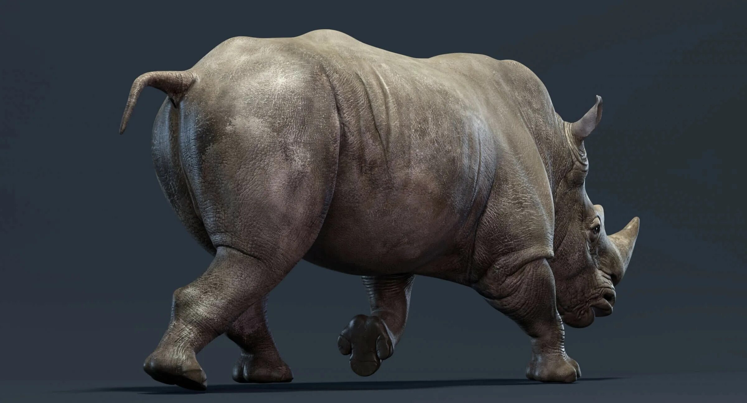 Мамонт рино. Rhinoceros 3d дого. White Rhinoceros 3d model. Rhinoceros grashor. Носорог 3d детский.