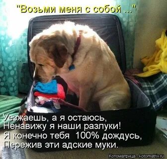 100 подожди