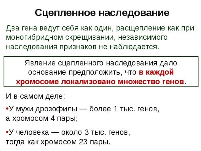 Наследование при полном сцеплении генов. Сцепленное наследование неполное сцепление. Сцепленное наследован. Явление сцепленного наследования. Явление сцерленногонаследования.