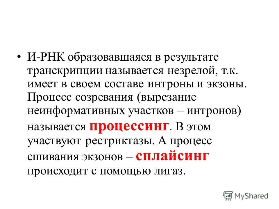 Транскрипция днк у прокариот. Транскрипцией называется процесс образования. Транскрипцией называется процесс образования. Транскрипцией называется процесс образования. Транскрипцией называется процесс.