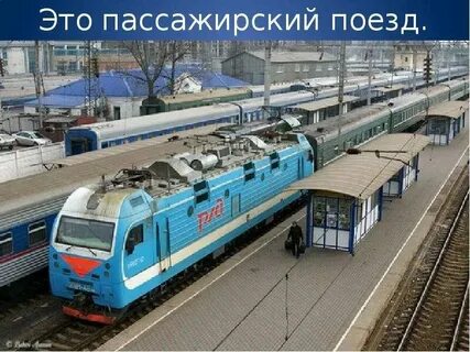 Птичьи имена поездов