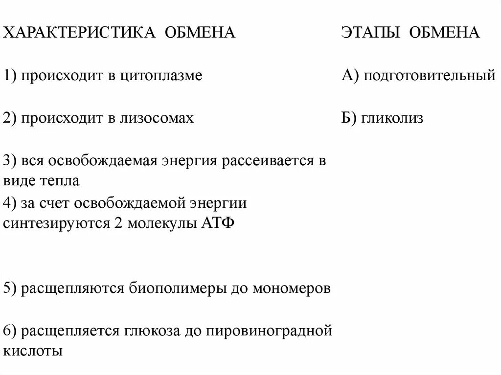 На подготовительном этапе обмена происходят. Этапы обмена подготовительный гликолиз происходит в лизослмаэ. Характеристика обмена. Этапы обмена вся энергия рассеивается. Производительность обмена.