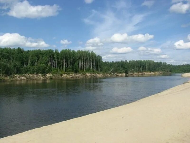 Боярское озеро томск. Озеро энгозеро. Боярское озеро томск. Боярское озеро томск. Семиозерье томск.
