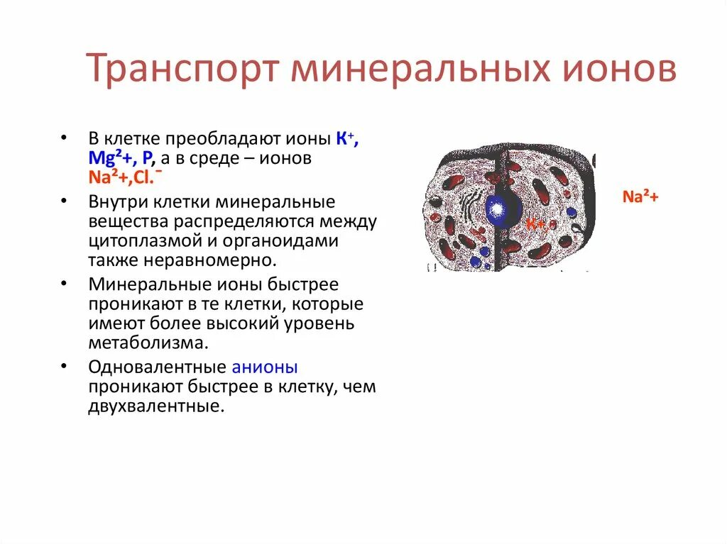 Ионный состав. Структура поваренной соли. Окружение ионы. Окружение ионы. Окружение ионы.