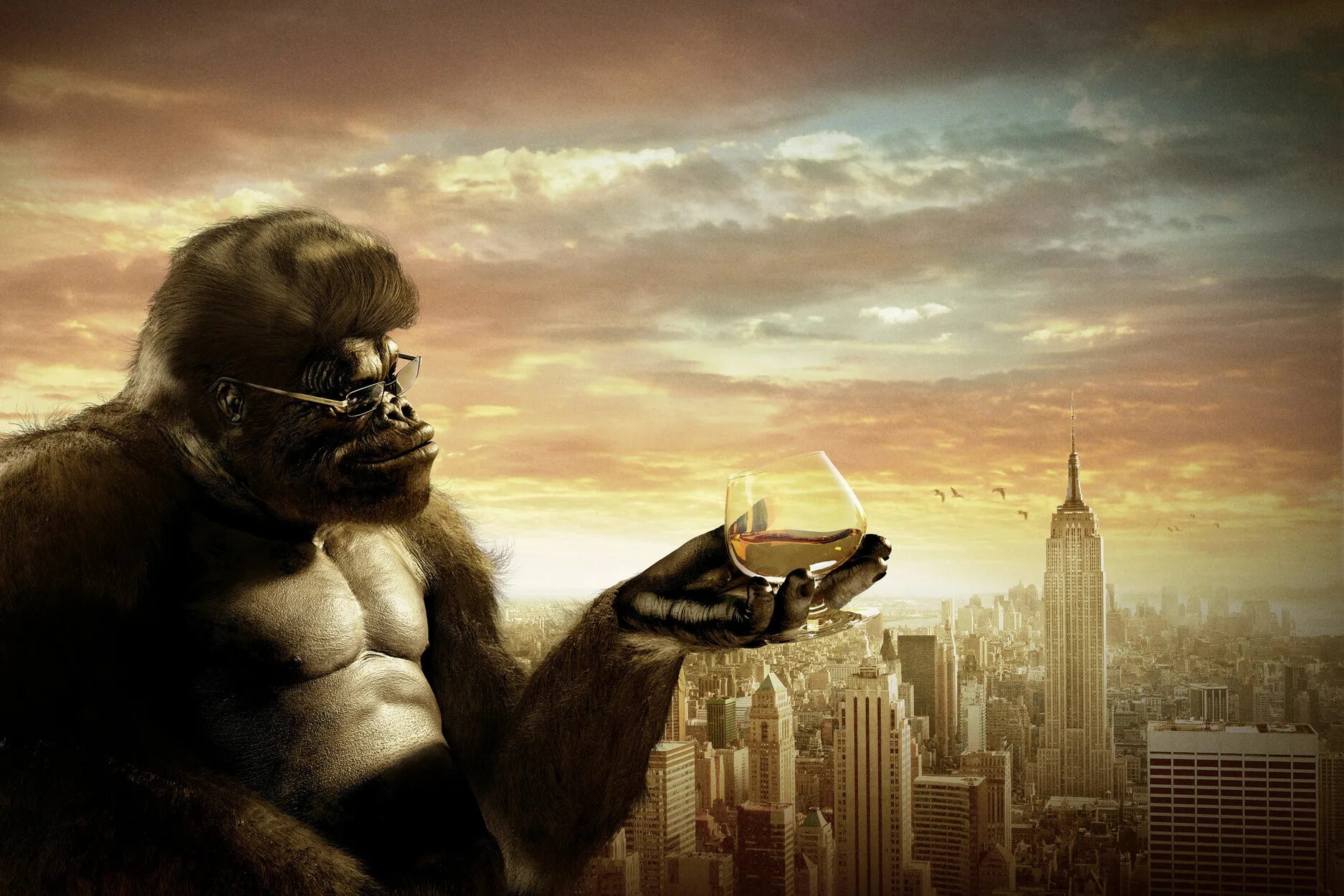 Горивать. Реклама с обезьяной. Крутые заставки на рабочий стол горилла. Горилла реклама. Горилла в очках картинки.