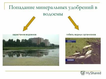 Попадание в водоемы