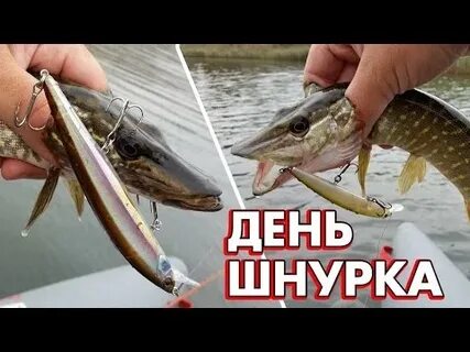 Когда активна щука осенью