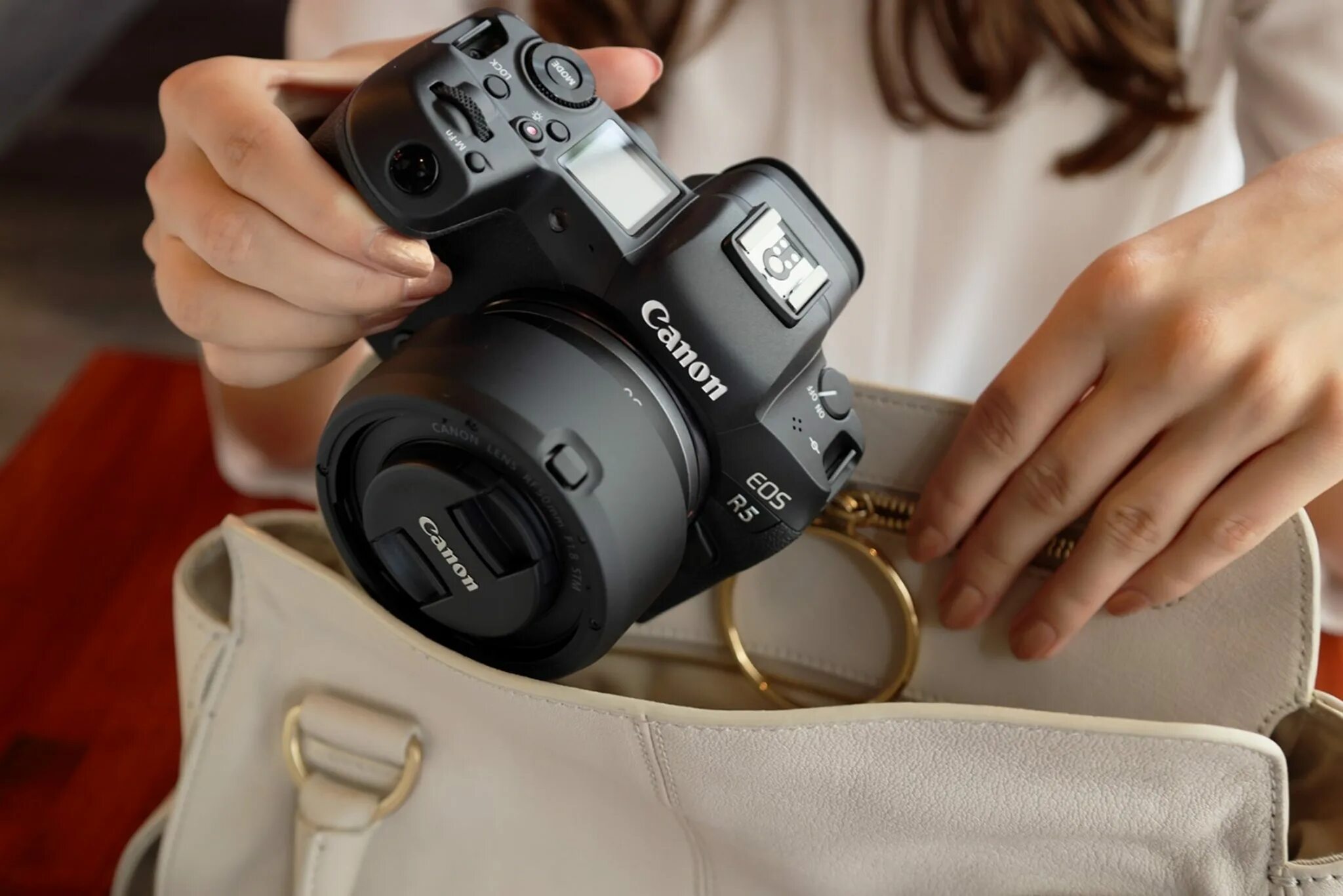Canon rp r8. Canon rf 50 1.8. canon rf 50 f1.8 stm. canon rf 50mm 1.8 stm. canon rf 50mm f1.8 stm.