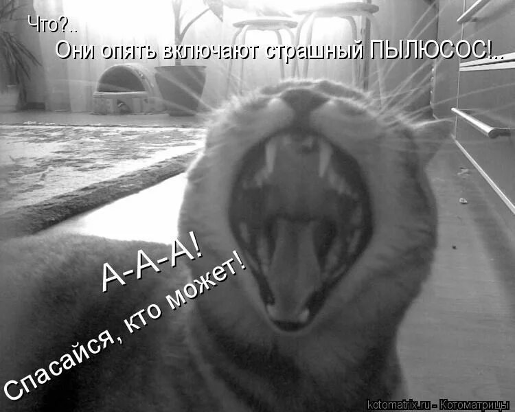 Включи опять включай