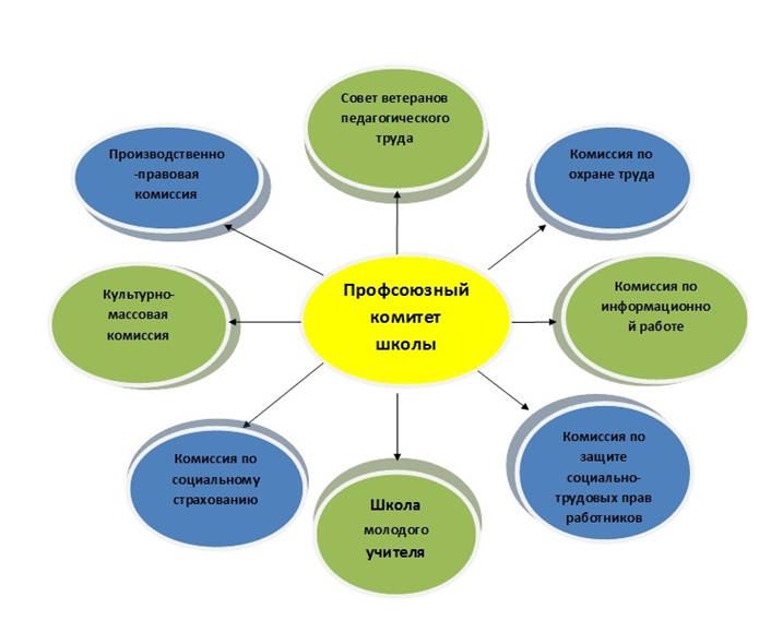 Структура профсоюза в школе. Структура профсоюзной организации. Структура профсоюзной организации в школе. Направления профсоюзной деятельности. Совет ветров