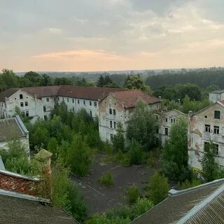 Алленберг в калининградской