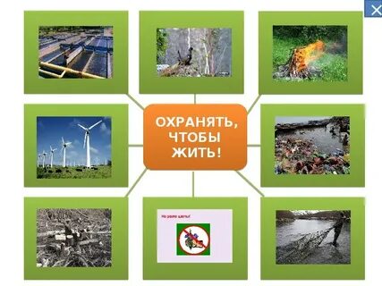 Зачем беречь и охранять природу