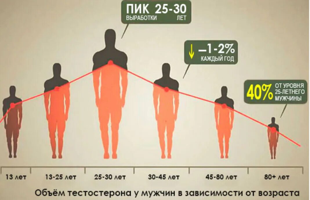 Возраст мужского пола. Уровень тестостерона. Уровень тестостерона в зависимости от возраста. Уровень тестостерона по годам. Уровень тестостерона у мужчин.