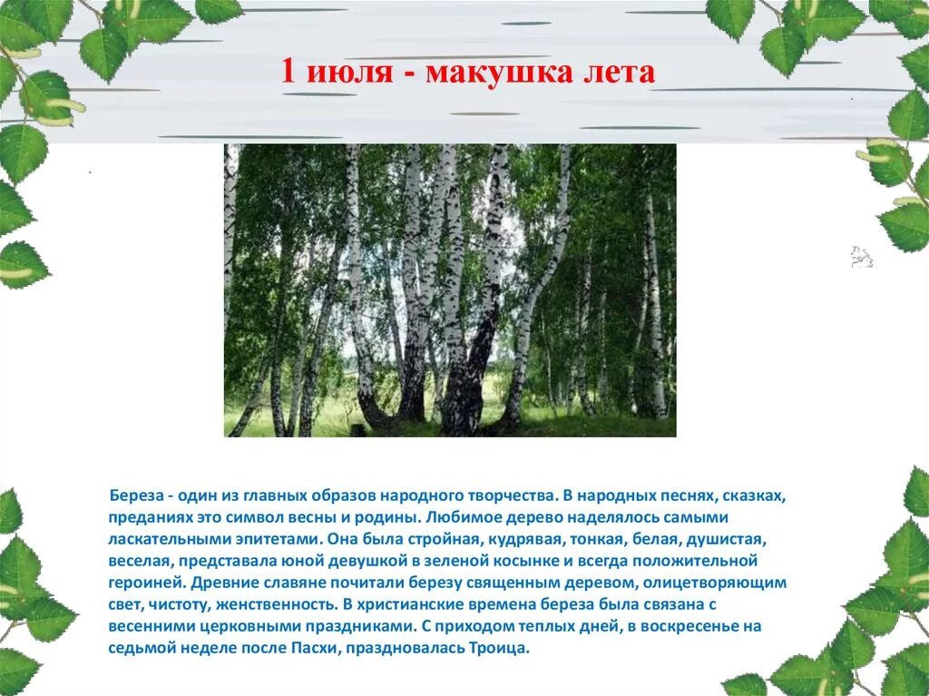 Впр береза одно из самых распространенных. Образ березы. береза символ весны. береза в народном творчестве. береза в русском народном творчестве.