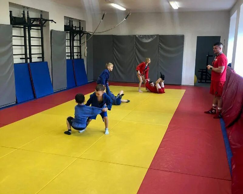 Занятия в спортивных секциях. Красноярск зал армеец. Секция тренировка. Спортивные секции для мальчиков. Офп для детей.