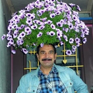 Flowers meme