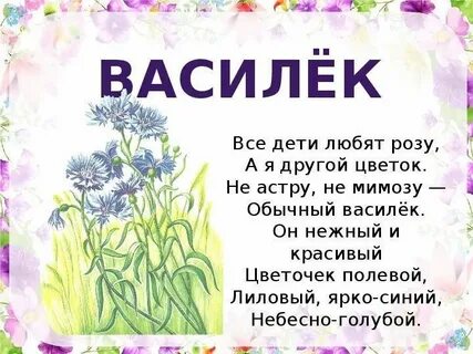 Василек мама