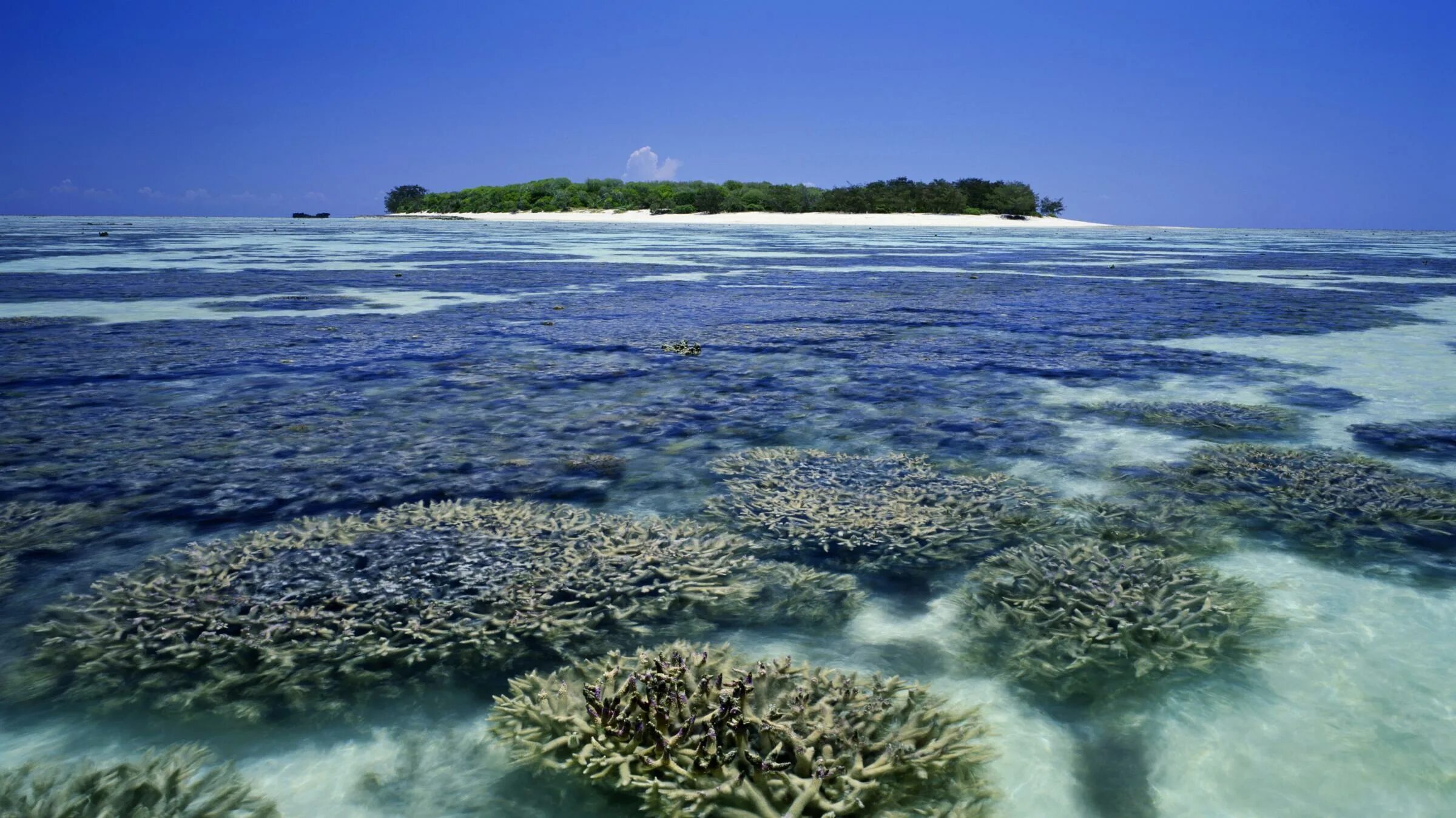 Большой Барьерный риф (ББР), Австралия. Большой коралловый риф в Австралии. Острова большого барьерного рифа. Морской национальный парк барьерного рифа.