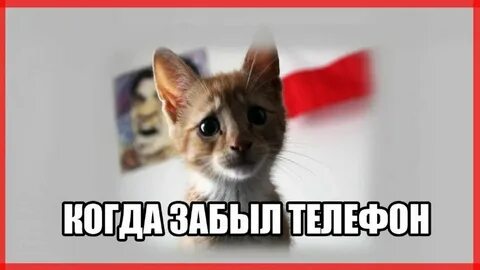 Забыла что дома не одна