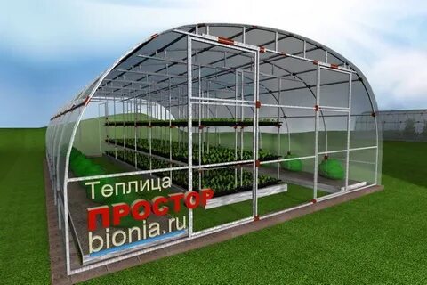 Биония пенза