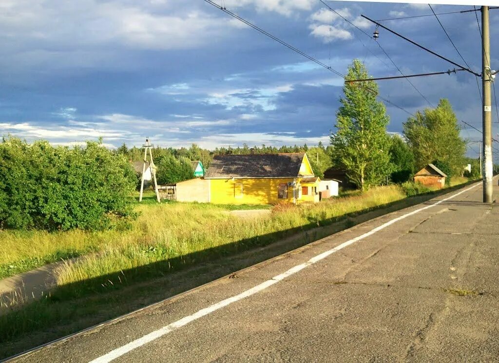 Посёлок чаща Гатчинский район. Чаща посёлок Ленинградская область Кремено. Станция чаща. ЖД станция чаща. Чаща ло