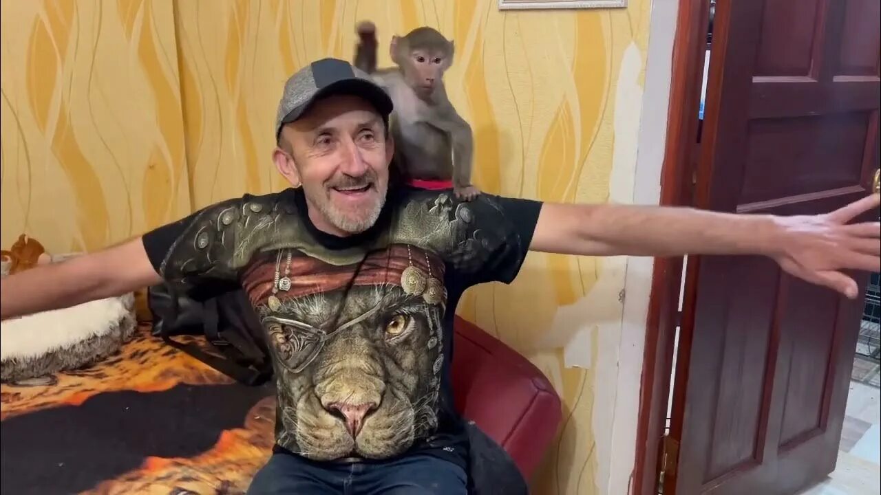 Гамадрил люська и компания блог на ютубе. Люська гамадрил сегодня.
