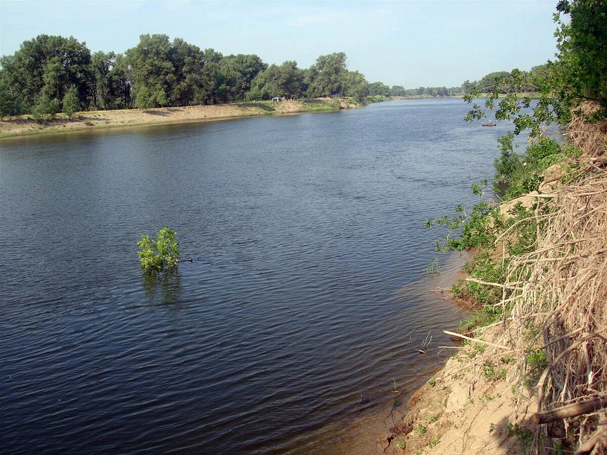 Вода в реке астрахань. Астрахань река Ахтуба. Река Ахтуба Волжский. Река Ахтуба в Волгоградской области. Царевка река Астрахань.