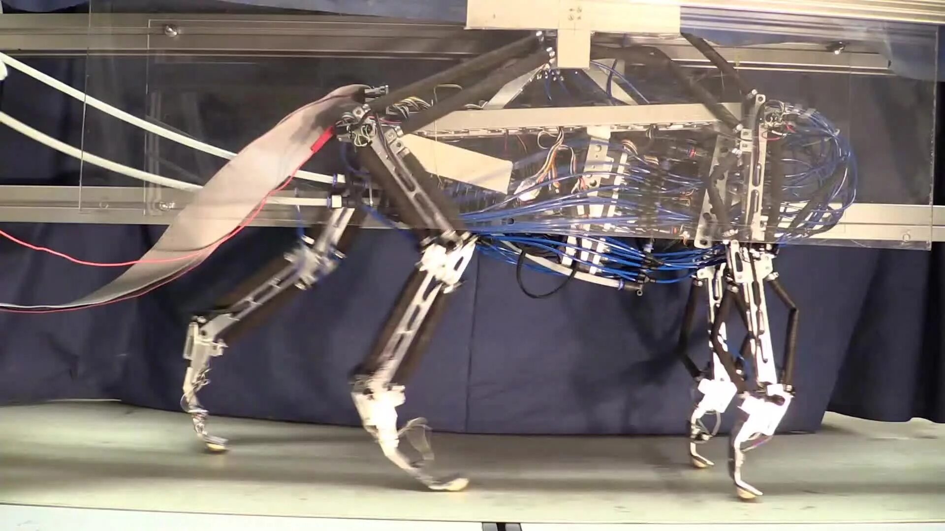Robot loop