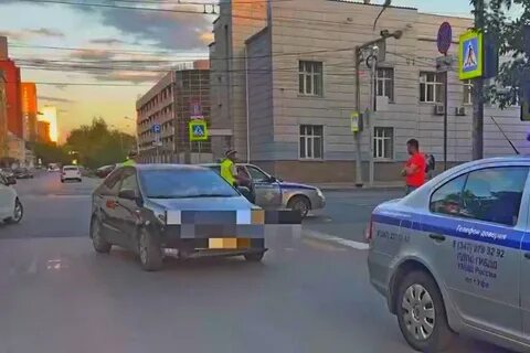 Сбитые на зебре