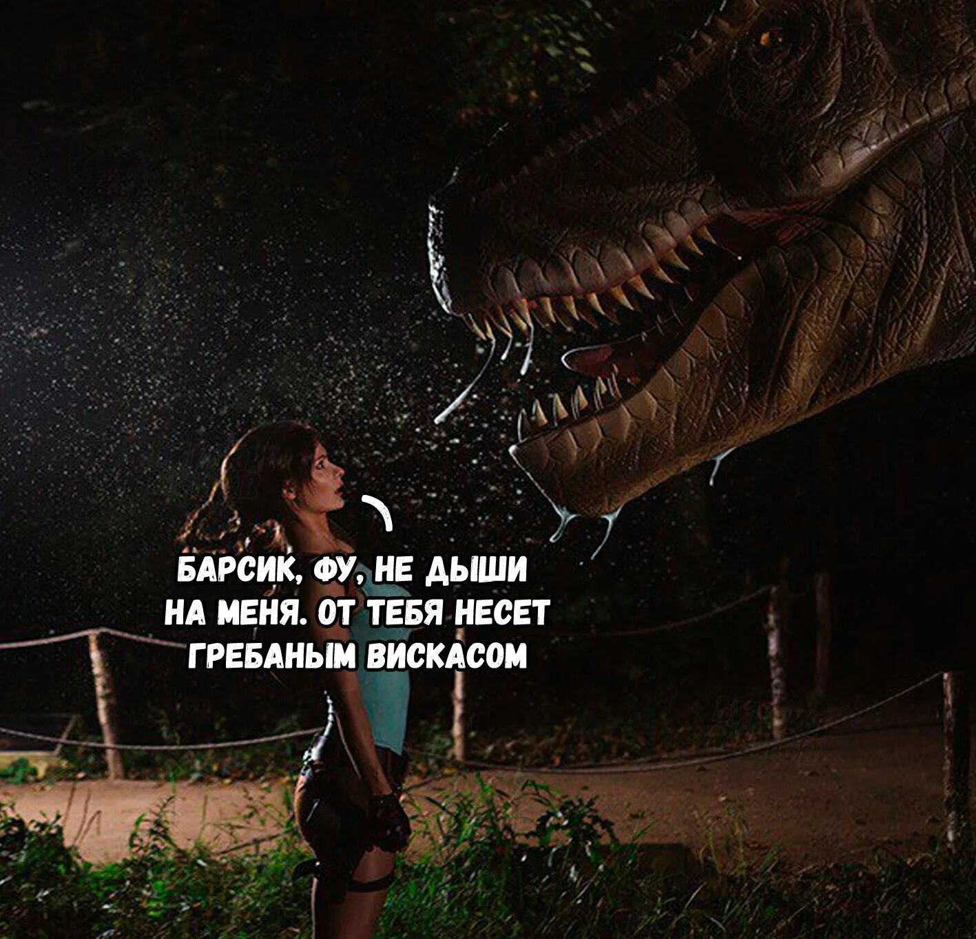 Странная была встреча олень глядел на меня и не спешил убегать текст. Я проснулся. Не дыши норман нордстром. Стефани арсила не дыши. Птица пофигица.