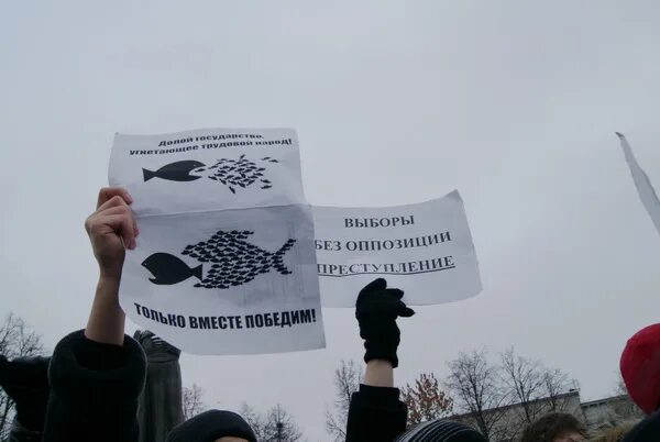 Надписи на плакатах оппозиционных митингов.