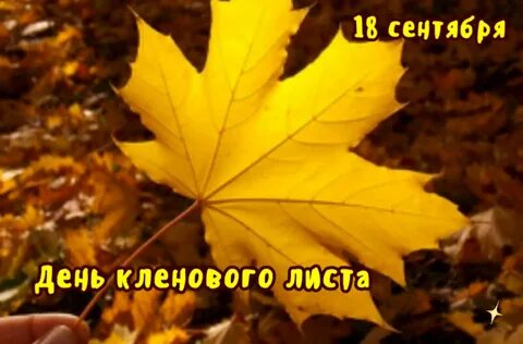 А что дальше а дальше осень