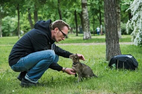 Люди играют с котами