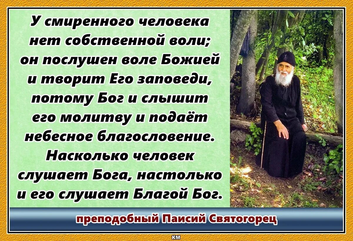 Преподобный Паисий Святогорец. Изречения Святого Паисия Святогорца. Паисий Святогорец цитаты о воле Божией. Православные притчи Паисия Святогорца.