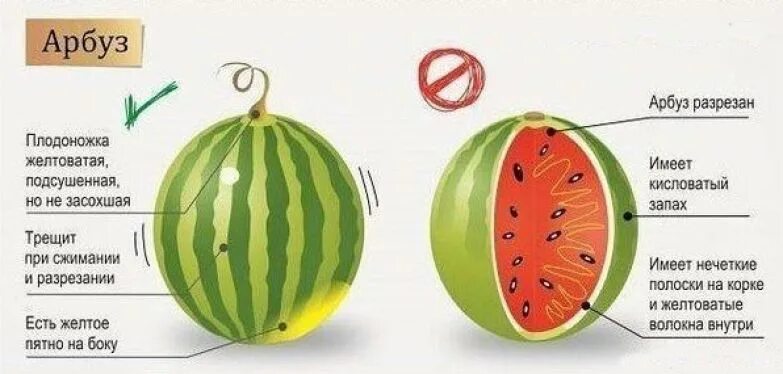 Как правильно выбирать фрукты. Как правильно выбирать овощи и фрукты. Как выбрать овощи. Как выбирать фруктов овощей. Как выбирать фрукты и овощи.