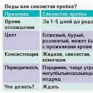 Через сколько после слизистой пробки начинаются роды