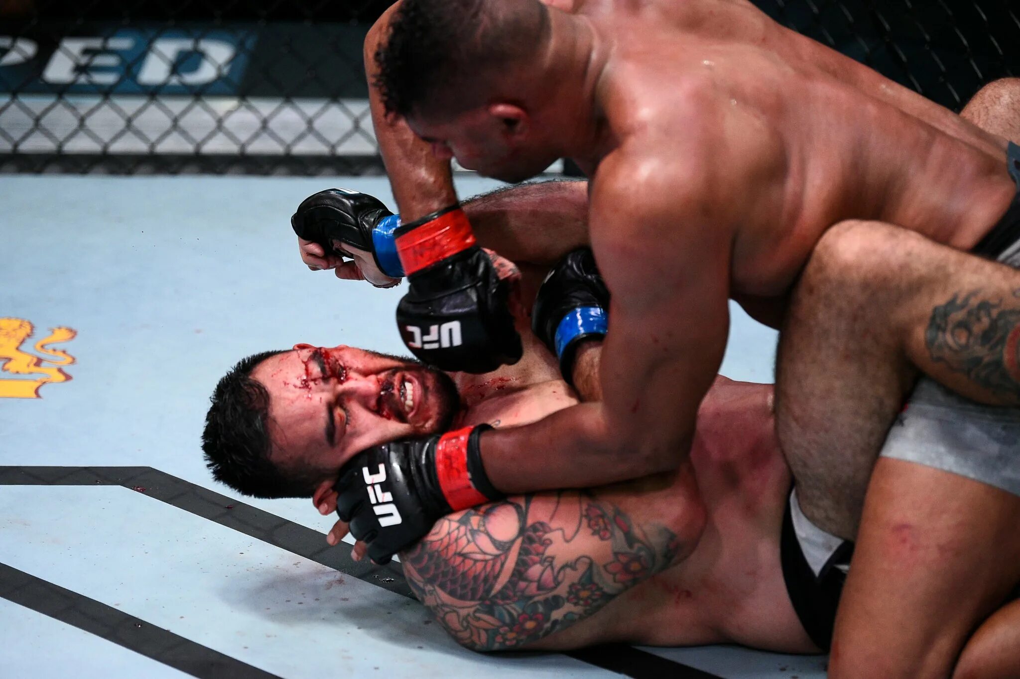 Defeated fight